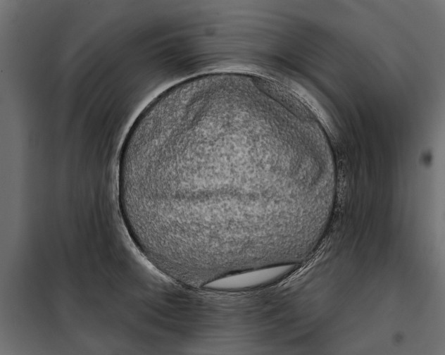 X0000099951092200806201307