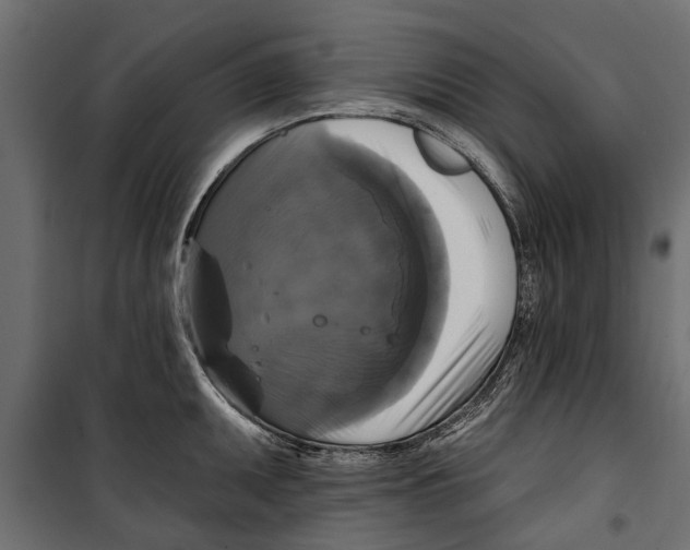 X0000099951095200806201307