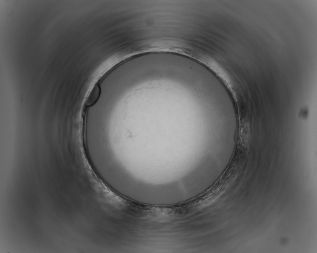 X0000099951096200806201307