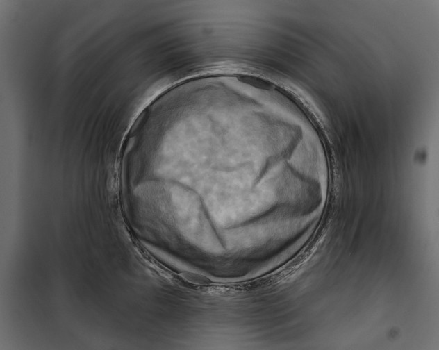 X0000099951097200806201307
