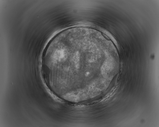 X0000099951099200806201307