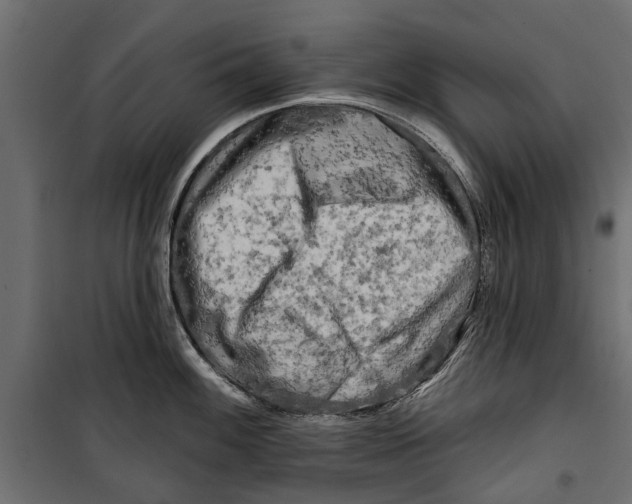 X0000099951100200806201307