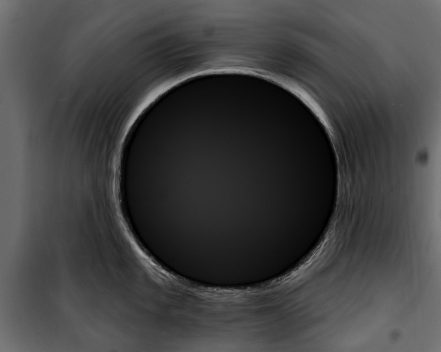 X0000099951101200806201307