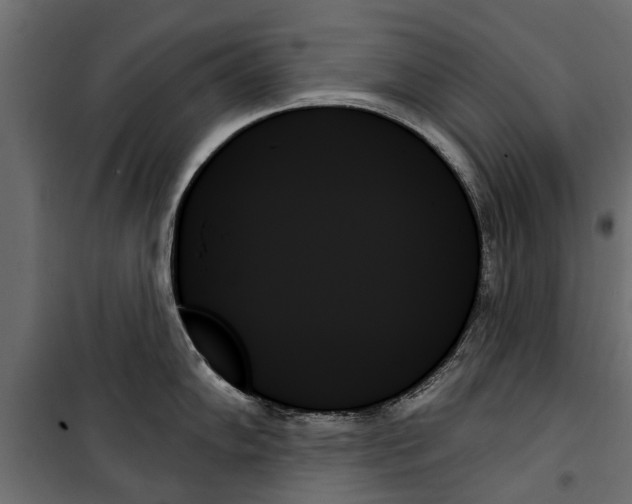 X0000099951102200806201307