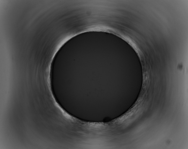 X0000099951103200806201307