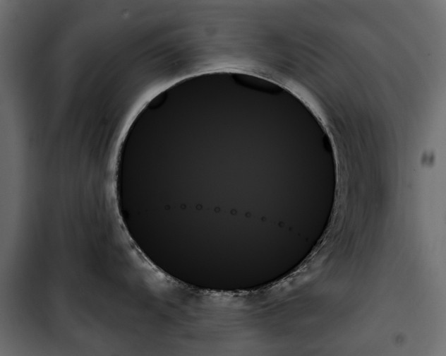 X0000099951104200806201307