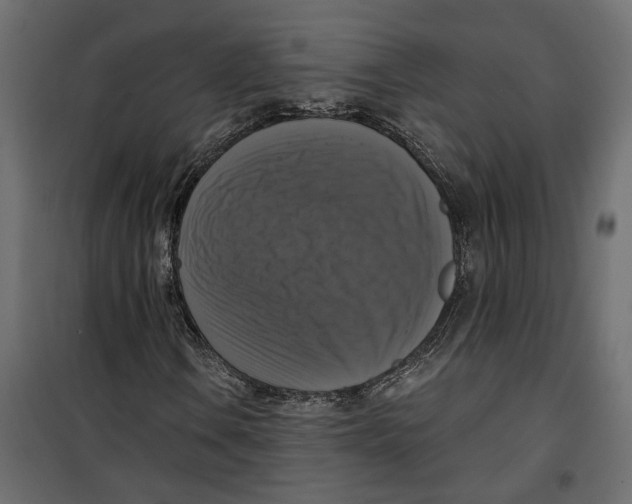 X0000099951106200806201306