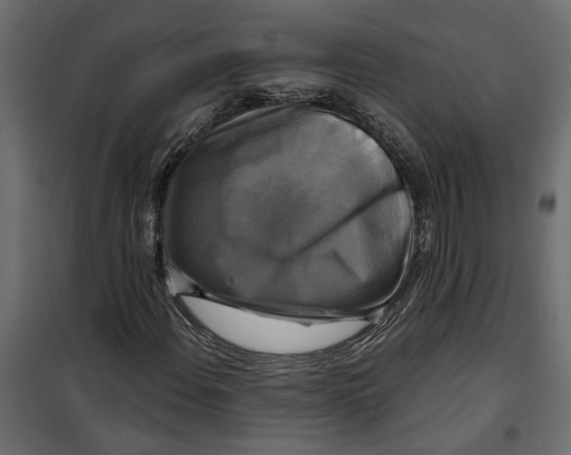 X0000099951108200806201306