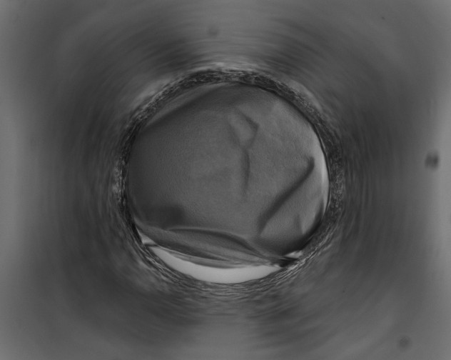 X0000099951110200806201306