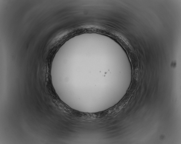 X0000099951111200806201306