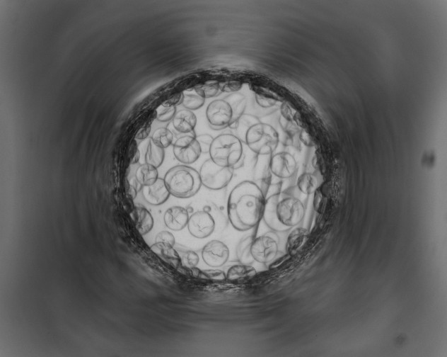 X0000099951112200806201306