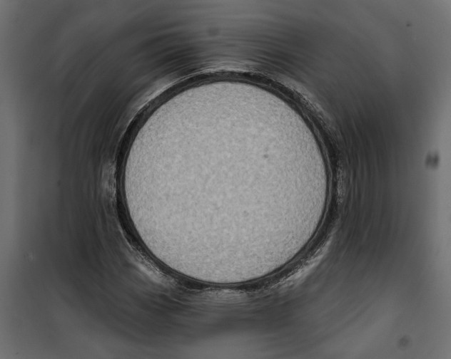 X0000099951113200806201306
