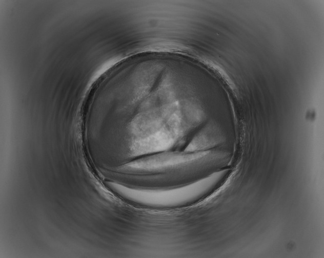 X0000099951114200806201306