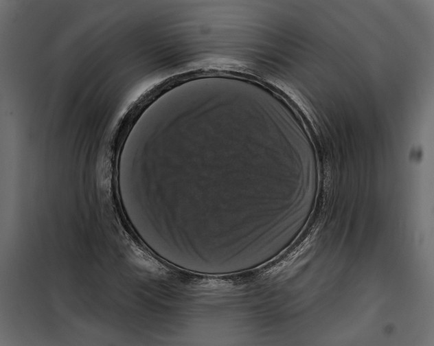 X0000099951115200806201306
