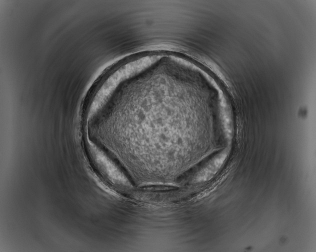 X0000099951116200806201306