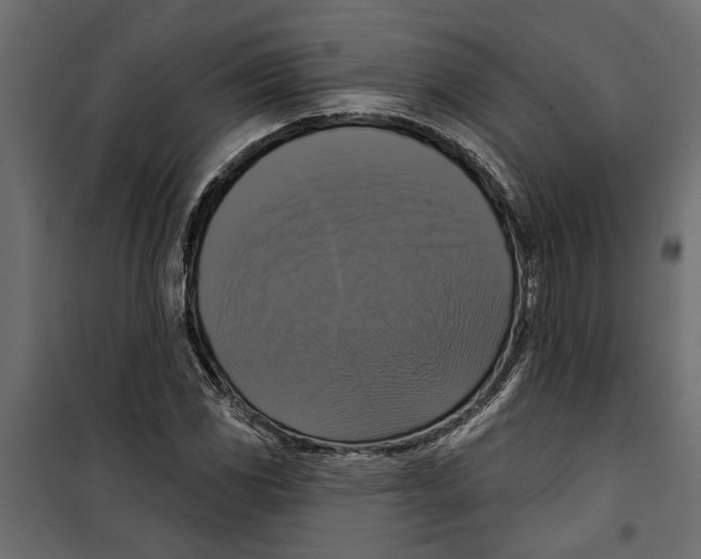X0000099951117200806201306