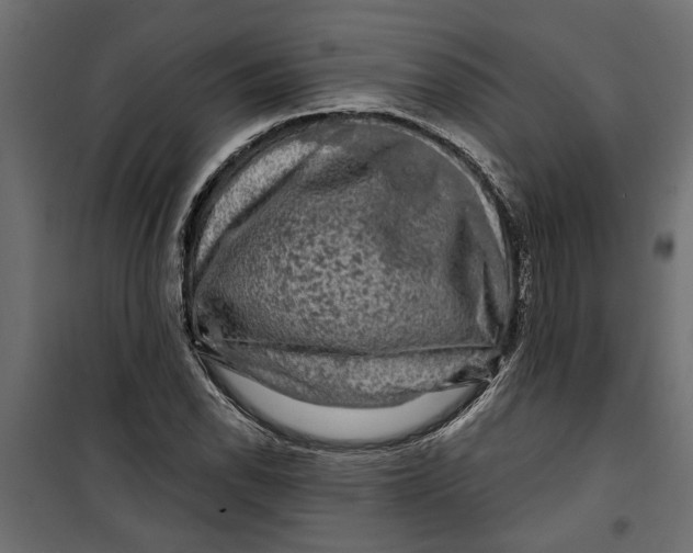 X0000099951118200806201307