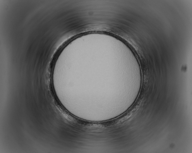 X0000099951119200806201307