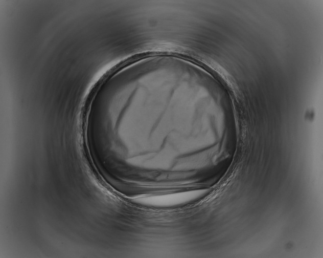 X0000099951120200806201307