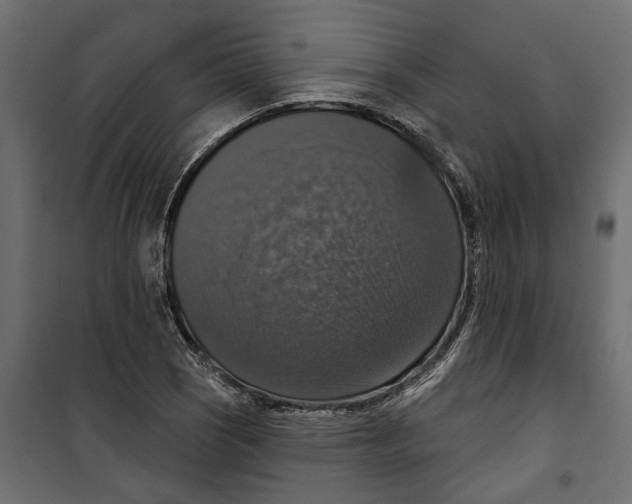 X0000099951121200806201307