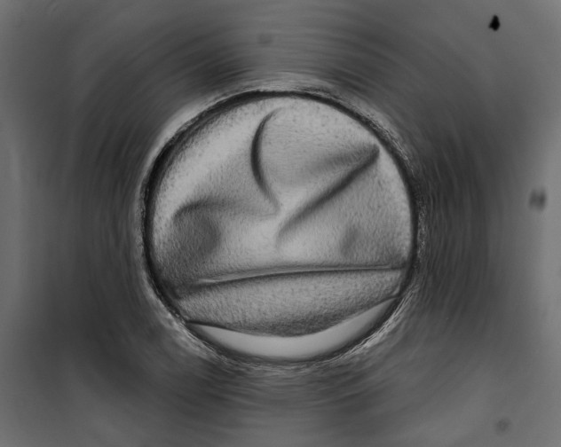 X0000099951122200806201307