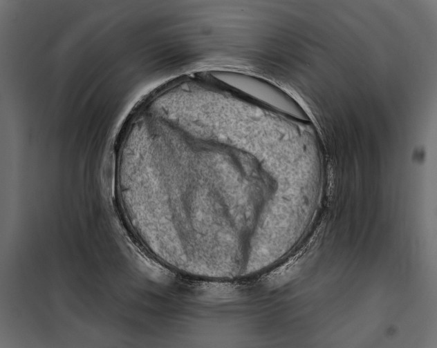 X0000099951123200806201307