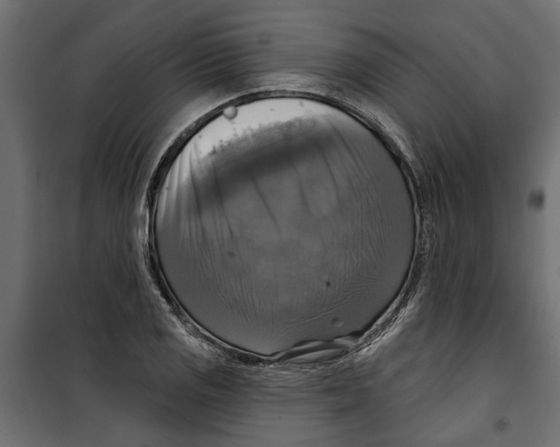 X0000099951125200806201307