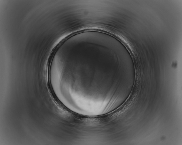 X0000099951127200806201307
