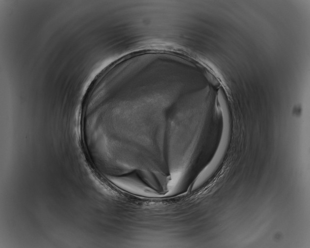 X0000099951128200806201307