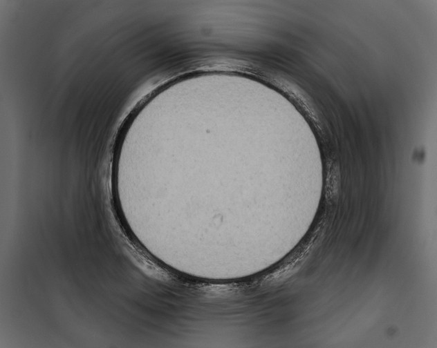 X0000099951130200806201307