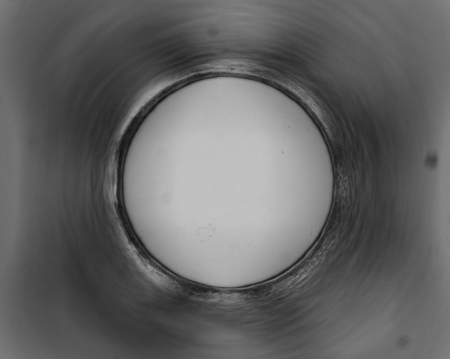 X0000099951131200806201307