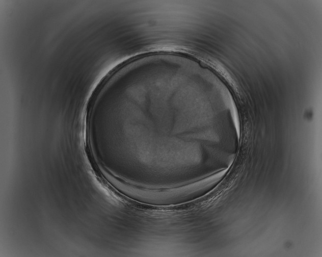 X0000099951132200806201307