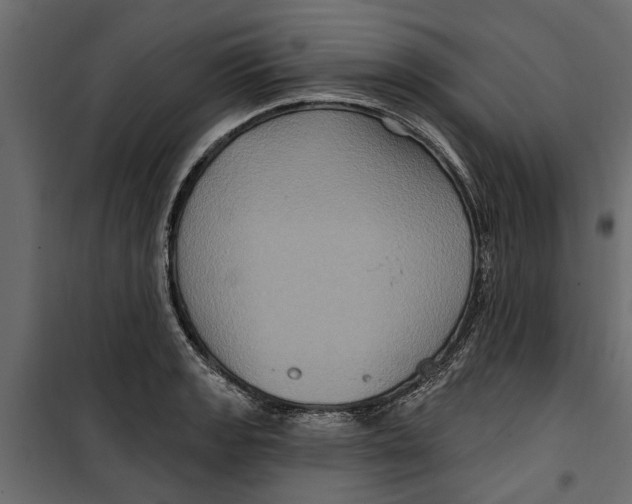 X0000099951133200806201307