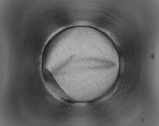 X0000099951134200806201307