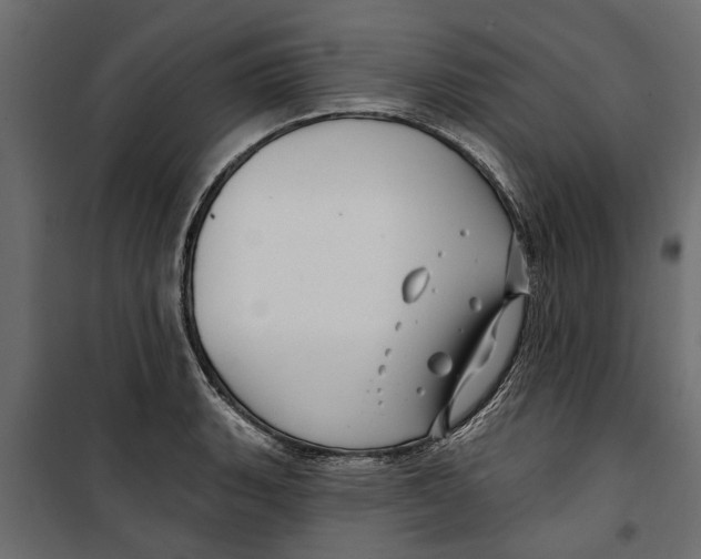 X0000099951135200806201307