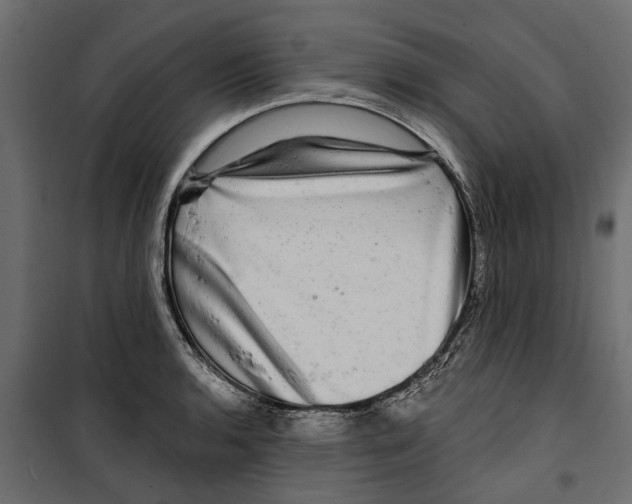 X0000099951136200806201307