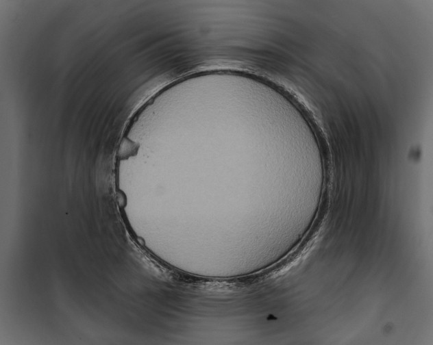 X0000099951137200806201307