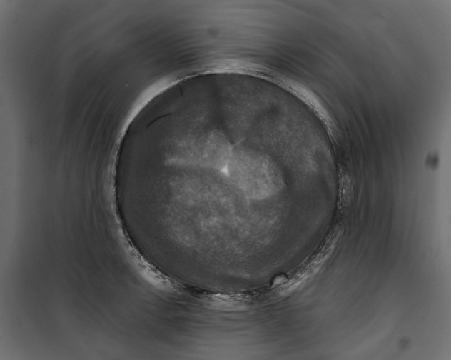 X0000099951138200806201307