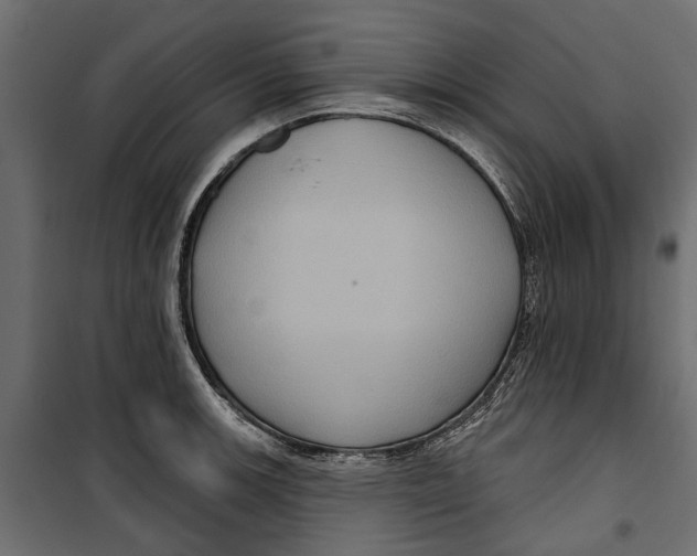 X0000099951139200806201307