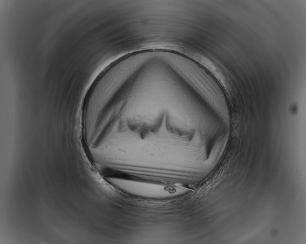 X0000099951140200806201307