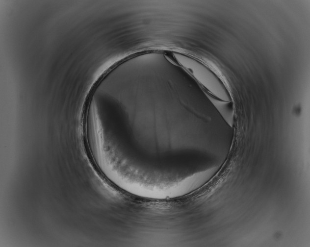 X0000099951141200806201307