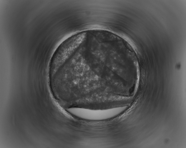 X0000099951142200806201307
