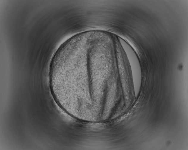 X0000099951143200806201307
