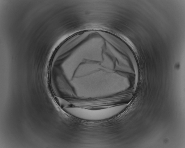 X0000099951144200806201307