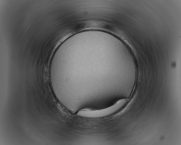 X0000099951145200806201307