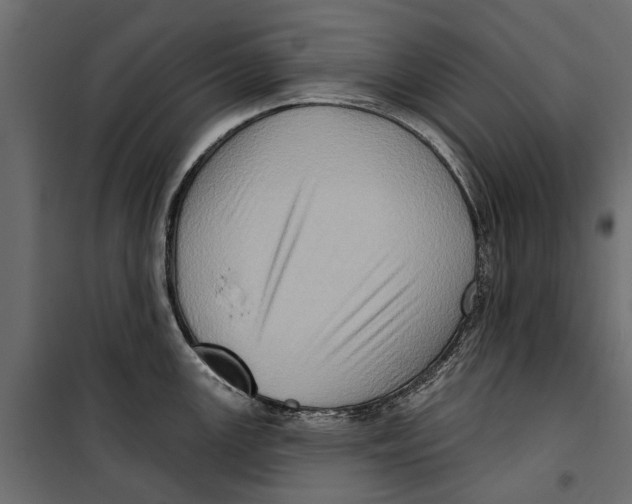X0000099951147200806201307