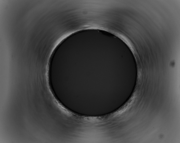 X0000099951149200806201307