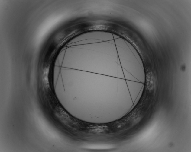 X0000099951150200806201307