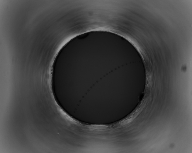X0000099951151200806201307