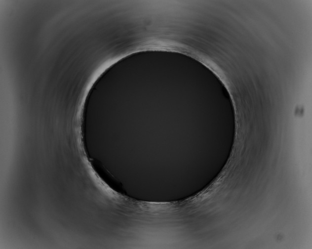 X0000099951152200806201307